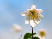 017_2019-04-12 15-39-40 (11)