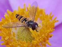 001_2019-07-28 10-14-53