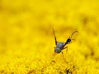 003_2019-07-28 17-43-53