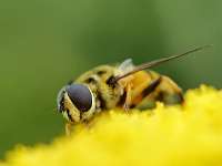 004_2019-07-28 17-47-09