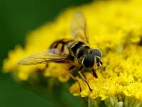 006_2019-07-28 17-48-27