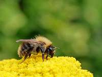 007_2019-07-29 09-09-17(1)