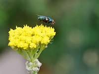 008_2019-07-28 17-53-39