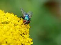 009_2019-07-28 17-54-51