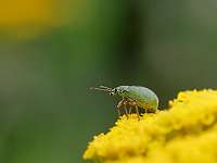 010_2019-07-29 10-10-50