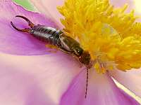 011_2019-07-29 16-32-28 (1102)_Stack60