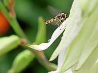 013_2019-07-22 16-32-06 (380)