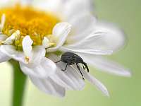 014_2019-07-29 16-55-25 (553)_Stack30