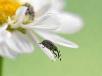 015_2019-07-29 16-59-21 (396)_Stack30