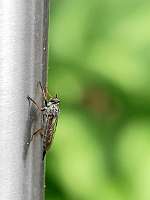 016_2019-07-29 15-19-15 (57)