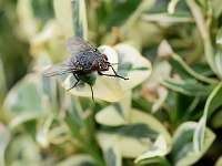 017_2019-07-29 15-25-20 (33)