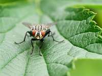 018_2019-07-29 15-34-14 (15)