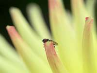 019_2019-07-22 16-39-20 (374)