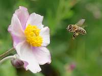 022_2019-07-29 10-10-38