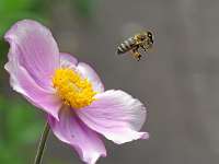 023_2019-07-29 10-10-58