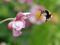 024_2019-07-29 15-11-01 (61)