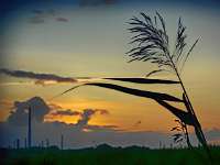018_2019-09-18 19-18-23_NIK-HDR