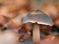 006_2019-10-22 10-53-57 (0698)_Stack40