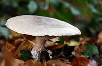 008_2019-10-22 11-06-30 (0975)_Stack30