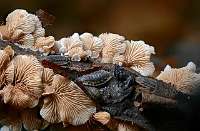 011_2019-10-22 10-35-10 (0255)_Stack50