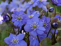 004_2020-03-19 15-11-05 (1335)_Stack50