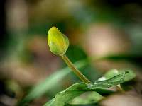 2020-03-02 09-55-11 (0046)_Stack20