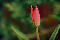 2020-03-02 10-29-52 (0665)_Stack40