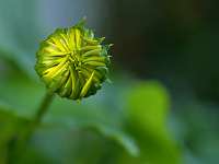 2020-03-09 16-52-09 (0097)_Stack30