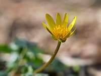 2020-03-19 16-05-52 (0158)_Stack30