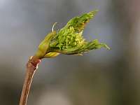 2020-03-20 16-59-51 (0021)_Stack20