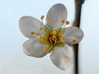 2020-03-23 16-18-38 (1228)_Stack40