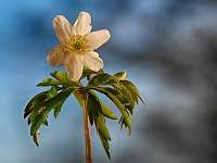 2020-03-23 16-50-09 (0376)_Stack30_NIK-HDR