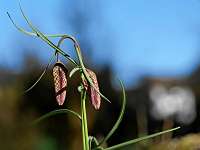 2020-03-31 16-13-37 (0645)_Stack30