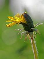 2020-04-08 16-33-03 (0338)_Stack40