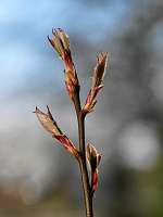 2020-04-09 16-09-06 (0408)_Stack40