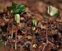 2020-04-11 15-50-55 (0936)_Stack50