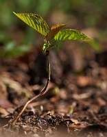 2020-04-11 16-02-04 (0740)_Stack20