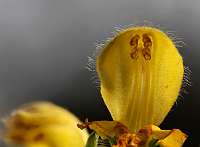 2020-04-11 16-49-51 (0368)_Stack40